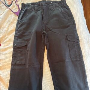American Eagle Outfitters Dark Gray Cargo Pants